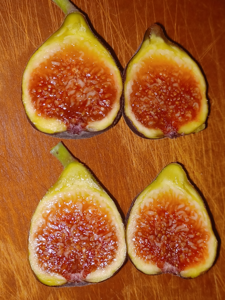 Milton Figs / Cut