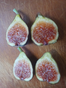 Milton Figs / Cut